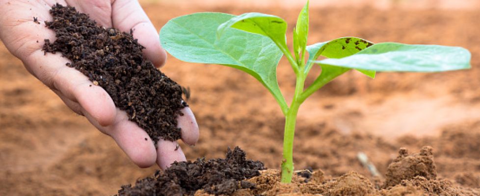 The different types of fertilizer