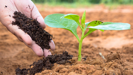 The different types of fertilizer